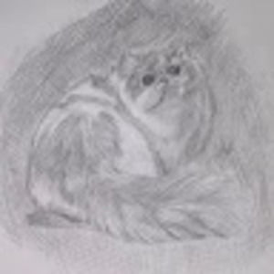 Meet your Posher, Hân